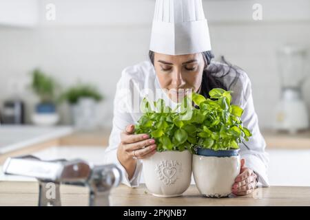 Professional female chef in white hat closes her eyes as she smells fresh basil in pots in front of her. Stock Photo