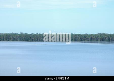 Sandoval Lake landscape view with water, sky and palms. Aerial drone view of Sandoval Lake in Amazon Peru. Open space area. Stock Photo