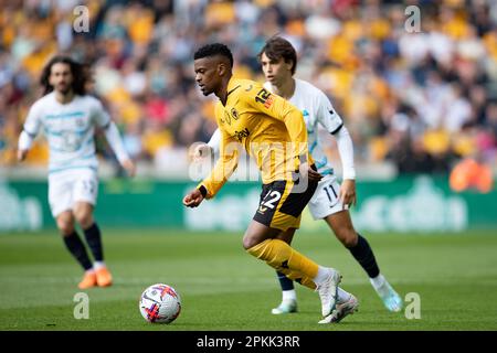 Nlson Semedo of Wolves during the Premier League match between Wolverhampton Wanderers and Chelsea at Molineux, Wolverhampton on Saturday 8th April 2023. (Photo: Gustavo Pantano | MI News) Credit: MI News & Sport /Alamy Live News Stock Photo