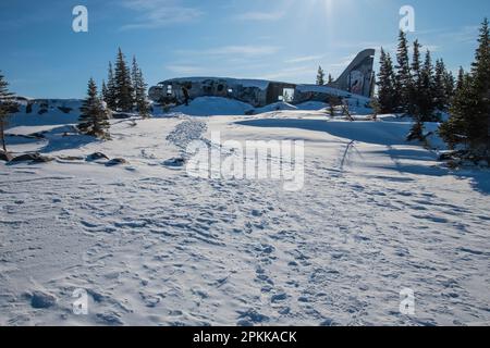 Emergency Transmission mural on Miss Piggy crashed aircraft in Churchill, Manitoba, Canada Stock Photo