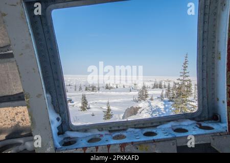 Looking out the window from Miss Piggy Curtiss C-46 Commando crashed aircraft in Churchill, Manitoba, Canada Stock Photo