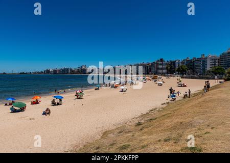 Beach in downtown Montevideo, Uruguay, South America Stock Photo