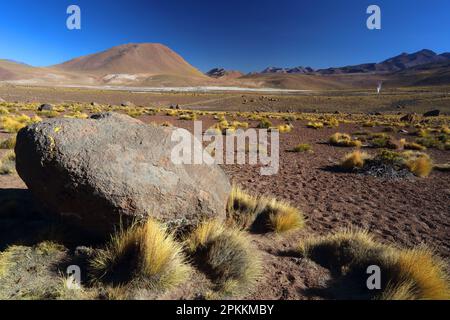 El Tatio Geyser Field, Atacama Desert Plateau, Chile, South America Stock Photo