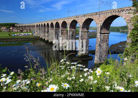 Royal Border Bridge, Berwick-upon-Tweed, Northumberland, England, United Kingdom, Europe Stock Photo