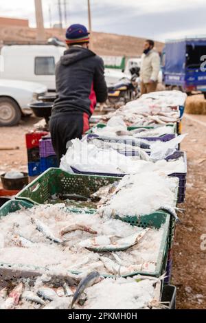 Crates of fresh fish for sale at a berber market in Morocco Stock Photo ...