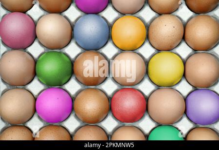 Colored, brown eggs in egg carton Stock Photo