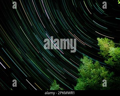 Long exposure of A gorgeous night sky with a row of trees silhouetted against a star-studded backdrop Stock Photo