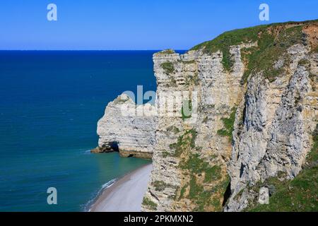 The Porte d Amont Falaise d Amont in Etretat Seine Maritime