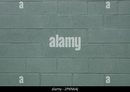 Green painted cinder block wall serves as textured background. Stock Photo