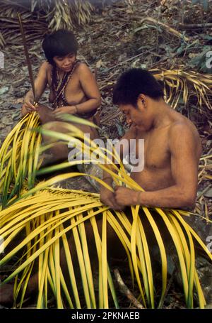 Use of forest products by Indians of rainforests of Venezuela: husband and wife of Hoti ethnic group weaving baskets from immature palm leaves. Stock Photo