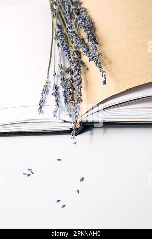 Dried lavender flowers in open empty notebook on white. Stock Photo