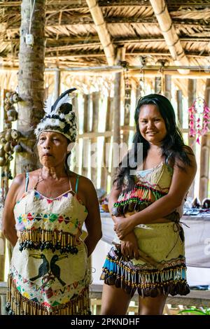 Ticuna women of Colombia reenact traditional dancing and music Stock ...