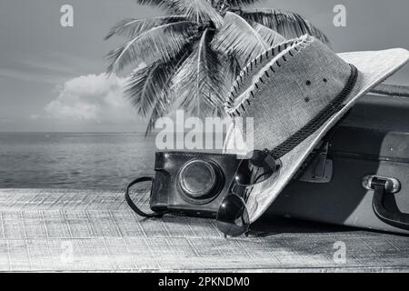 Suitcase, sun hat, photo camera and sunglasses with sea water, coconut palm tree and sky background on sunny summer day in tropical beach, copy space. Stock Photo