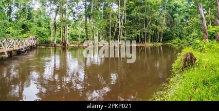 Leticia, Colombia - Dec, 2021: Wooden bridge over the Tacana river. Trekking through rainforest of the Amazon jungle. Border of Colombia nd Brazil. Am Stock Photo
