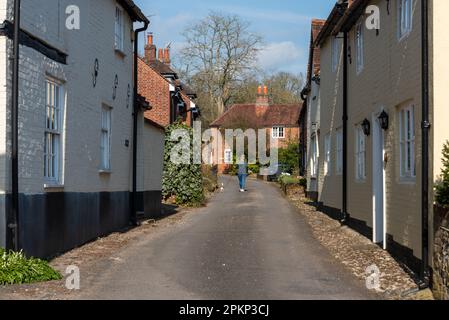 Woman walking a dog along a narrow lane in the Hampshire village of Hambledon. April 8th 2023. Stock Photo
