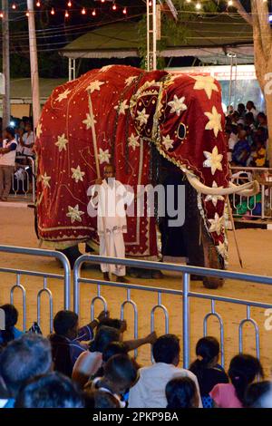 Festival, Esala Perahera, Kataragama, Sri Lanka, Asia Stock Photo