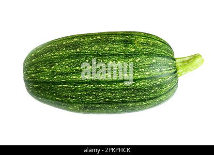Vegetable marrow zucchini isolated on white background. Photography of one fresh squash. Theme of zucchini, organic food, nature. Stock Photo