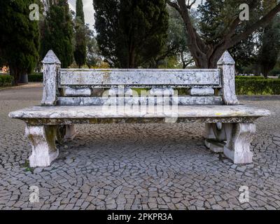 Bench in the park Stock Photo