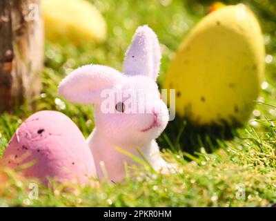Happy Easter season with spring and cute toy bunny , yellow and pink eggs in Mosonmagyarovar , Hungary . Easter egg hunt in the beautiful garden Stock Photo