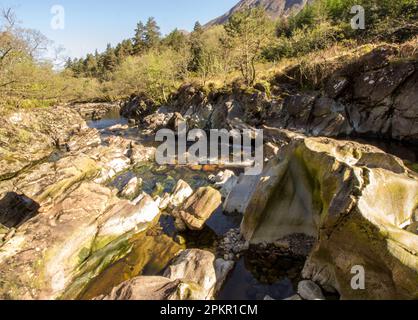 The River Coe, flowing through large volcanic boulder next to An Torr a small woodland in Glen Coe on a clear sunny day in the Scottish Highlands Stock Photo