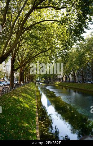 The beautiful green city canal 'Kö-Graben' on Königsallee in Düsseldorf/Germany, a piece of green nature inmidst the city. Stock Photo