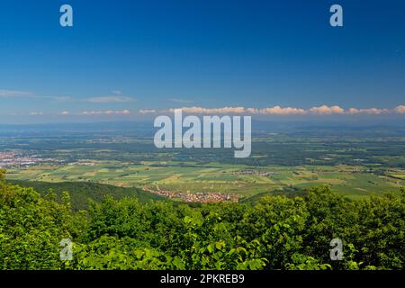 Panoramic view from Château du Haut-Koenigsbourg, Alsace, France Stock Photo