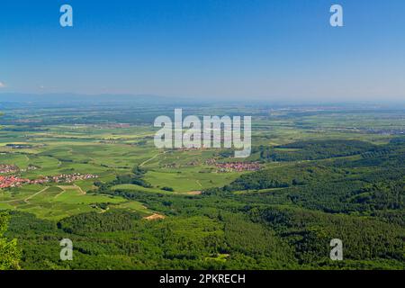 Panoramic view from Château du Haut-Koenigsbourg, Alsace, France Stock Photo