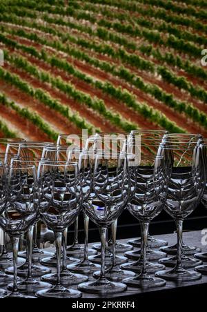 Wine glasses and the vineyards of Tokara Wine Estate photographed at the cellars. Stock Photo