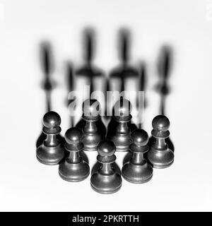 CKM 5872 - Checkmate - SHADOW
