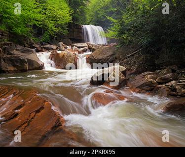 Douglas Falls in spring near Thomas, West Virginia Stock Photo