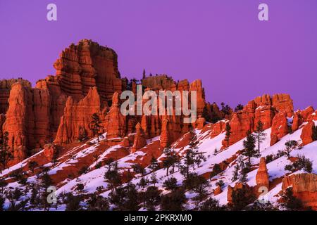 Twilight color over the hoodoos of Red Canyon outside Bryce Canyon National Park in Utah Stock Photo