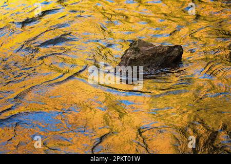 Autumn leaves and blue sky reflected in the Little Pigeon River near Townsend, Tennessee Stock Photo