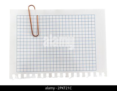 A sheet of paper in a cage for notes with a paper clip on a white background. Entries. Notes. Reminder Stock Photo