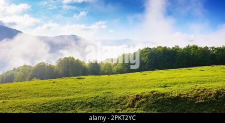 rural landscape with grassy meadows and pastures. grassy fields and hills. fog in the valley Stock Photo