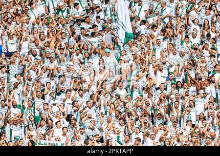 Paulista Soccer Championship Final Palmeiras Agua Santa Palmeiras  Celebrates Title – Stock Editorial Photo © thenews2.com #650484324