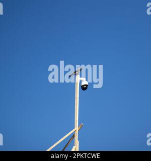 Camera mounted on a pole and bird. Security cameras scan the street. Stock Photo