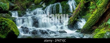 Lower Falls, Cataract Canyon, Mount Tamalpais, Marin County, California Stock Photo