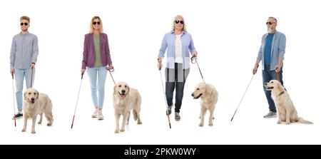 Blind people with long canes and guide dogs on white background. Banner design Stock Photo