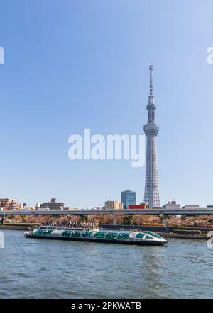 Tokyo, Japan - March 20, 2023: Tokyo Skytree Tower in Tokyo, Japan. The TV tower is the 2nd tallest structure in the world. Stock Photo