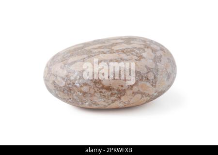 Round flat stone isolated on white background Stock Photo