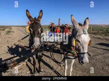 Boys on a donkey cart wave at me on the gravel road between the villages of Mier and Klein Mier in the Northern Cape Province of South Africa. Stock Photo