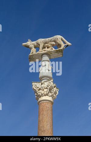 Siena Sienna Statue Statue of Wolf feeding Romulus and Remus. The symbol of Siena, Tuscany, Italy Stock Photo