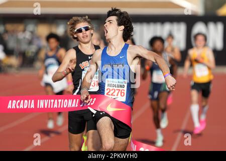 Carson Hedlund (2276) of Pioneer wins the rising stars mile in 4:15.47 during the Arcadia Invitational high school track meet, Saturday, April 8, 2023 Stock Photo