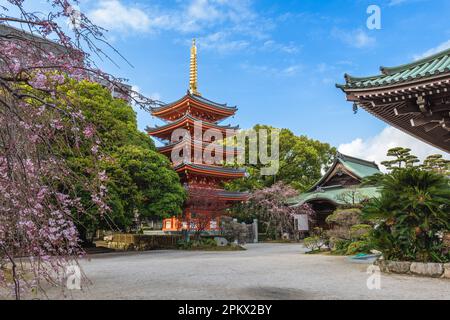 Tochoji, a Shingon temple in Hakata, Fukuoka, Japan. Stock Photo