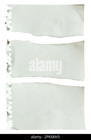 Tear notebook paper pulled out from a ring notebook isolated on white background with clipping path Stock Photo