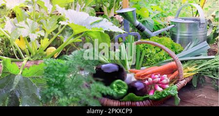 fresh harvested vegetables from garden in a basket among foliage with watering can background Stock Photo