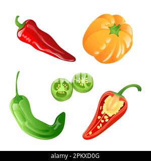 A set of illustrations of different types of peppers in bright colours. Paprika, chilli, jalapeno in vector Stock Vector