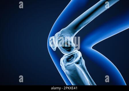 Close-up profile or lateral view of the knee joint bones 3D rendering illustration. Human skeletal anatomy, osteology, science, biology, medical conce Stock Photo
