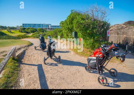 Golfs trolleys. Golf club, El Saler, Valencia province, Comunidad Valenciana, Spain. Stock Photo