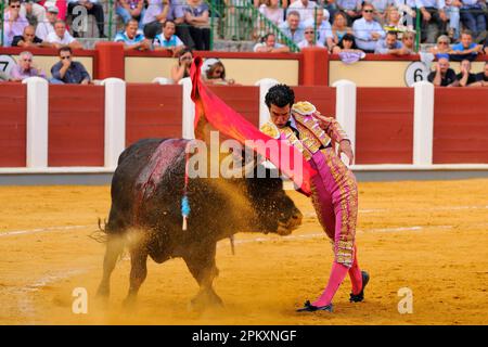 Second Spain bullfight stage: tercio de banderillas